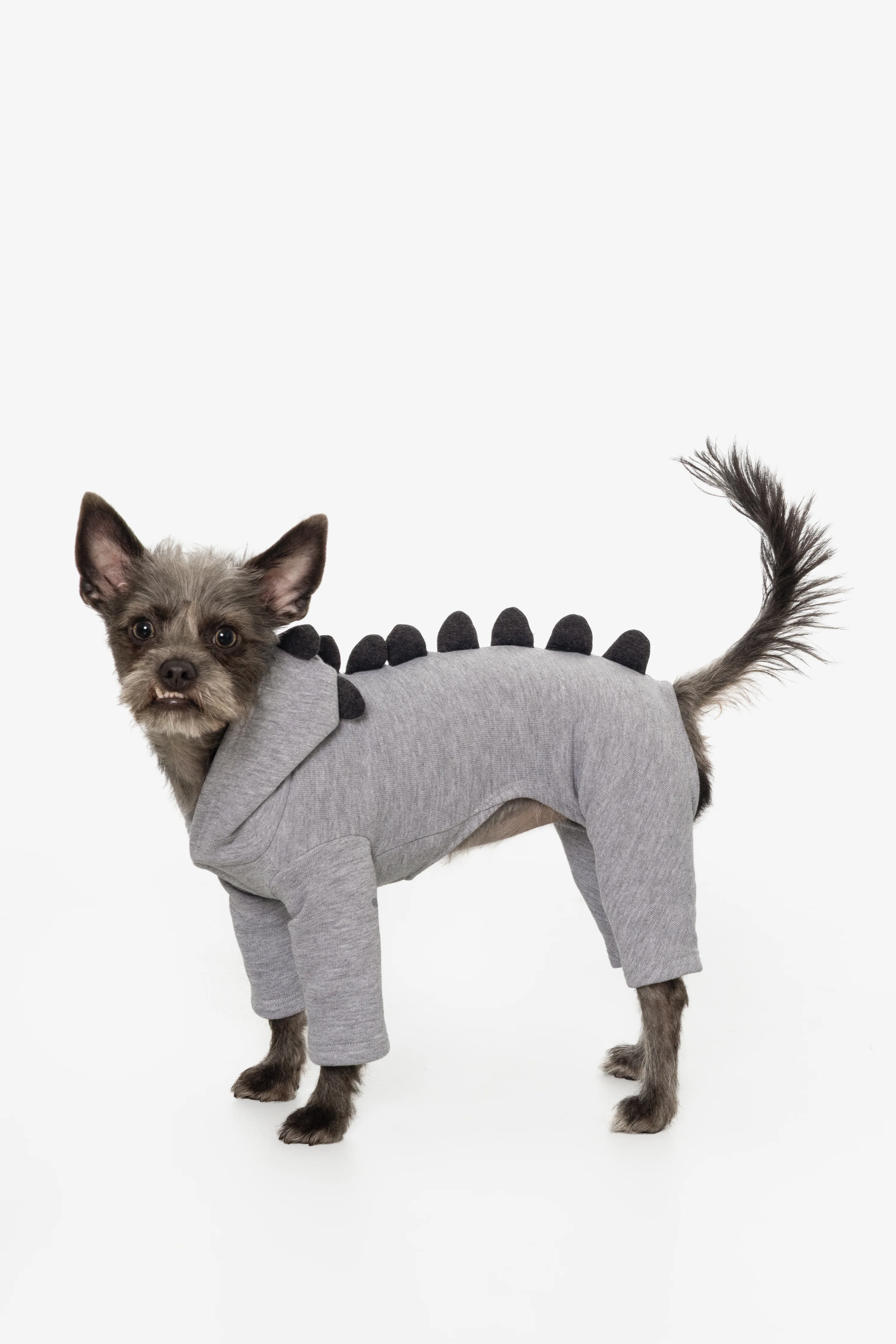 FF900 - Dogzilla - Image 15