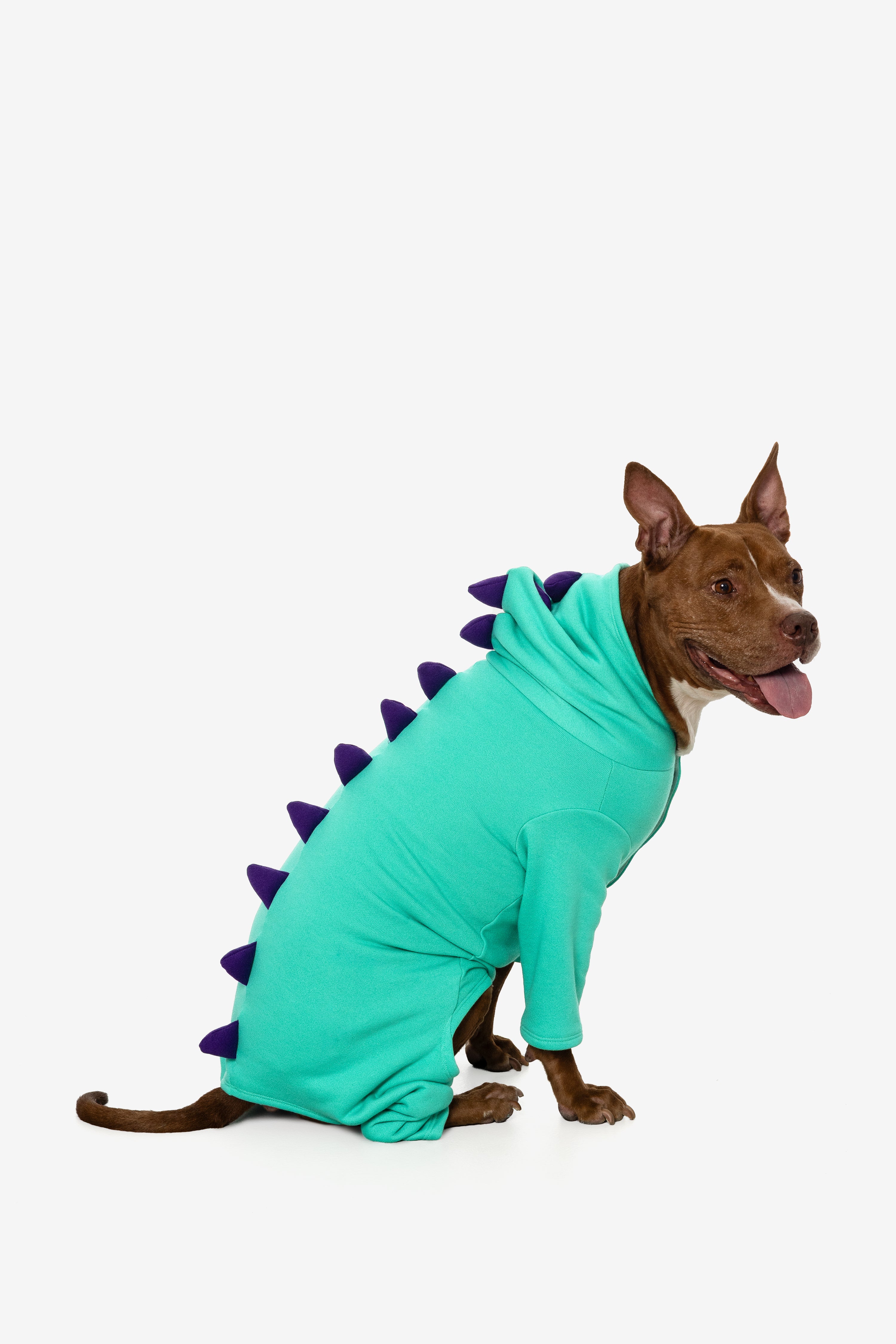 FF900 - Dogzilla - Image 3